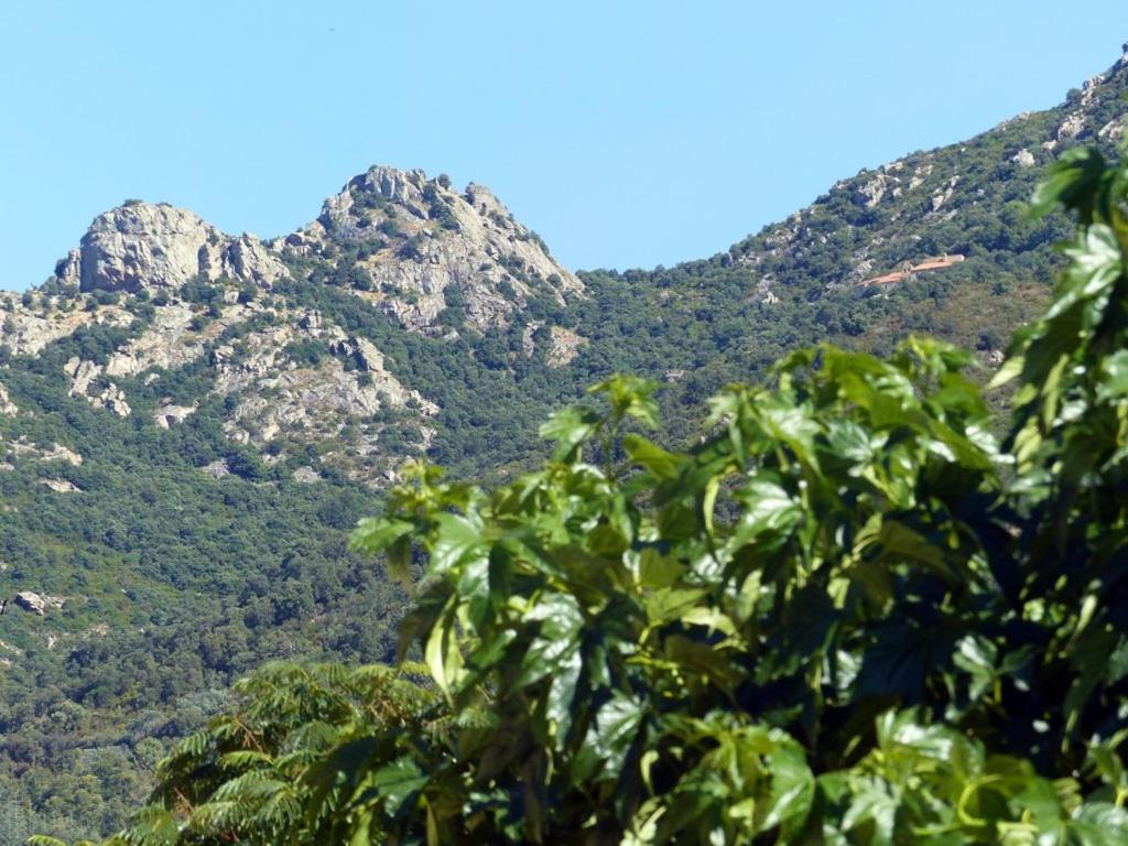 Casa-Tena-Sorède Cameră foto